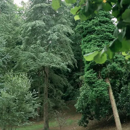 De Limpias